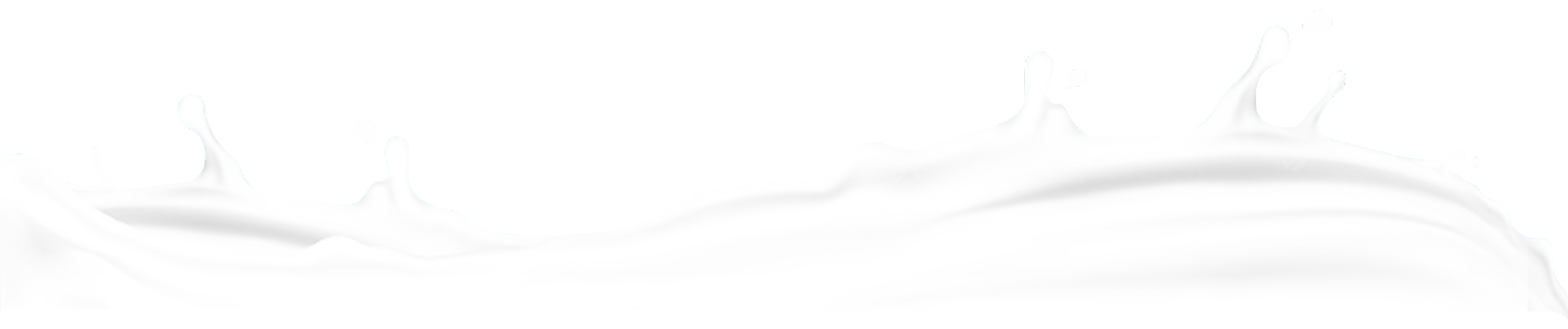 footer banner susu bear brand